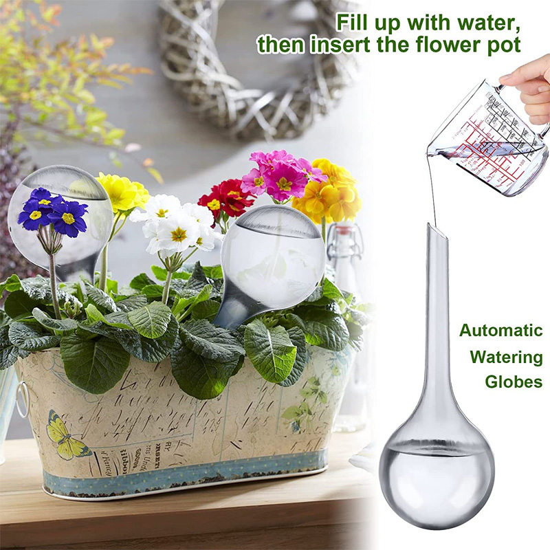 5/10PCS Lampadine per irrigazi - Smart Garden Auk recensione e prezzo